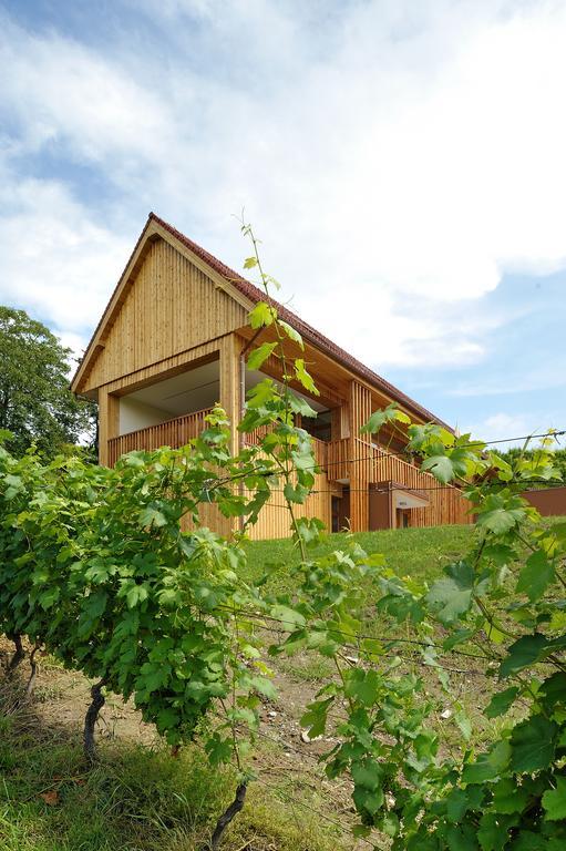 Vino Valdhuber Apartments Svecina Екстер'єр фото